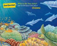 Book Cover for Why Is the Sea Salty? by Benjamin Richmond