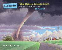 Book Cover for What Makes a Tornado Twist? by 