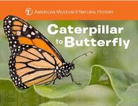 Book Cover for Caterpillar to Butterfly by Melissa Stewart, American Museum of Natural History