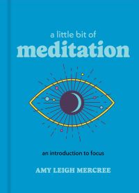 Book Cover for A Little Bit of Meditation by Robert M Lawless, Jennifer K Robbennolt, Thomas Ulen