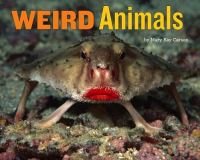 Book Cover for Weird Animals by Mary Kay Carson