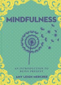 Book Cover for A Little Bit of Mindfulness by Amy Leigh Mercree