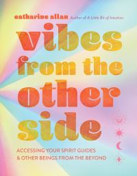 Book Cover for Vibes from the Other Side by Catharine Allan