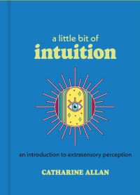 Book Cover for A Little Bit of Intuition by Catharine Allan