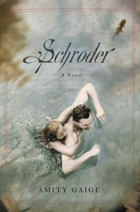 Book Cover for Schroder by Amity Gaige