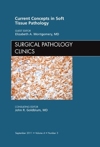 Book Cover for Current Concepts in Soft Tissue Pathology, An Issue of Surgical Pathology Clinics by Elizabeth A Montgomery