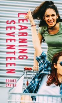 Book Cover for Learning Seventeen by Brooke Carter