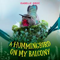 Book Cover for A Hummingbird on My Balcony by Isabelle Groc