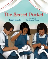 Book Cover for The Secret Pocket by Peggy Janicki
