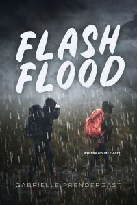 Book Cover for Flash Flood by Gabrielle Prendergast