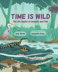 Book Cover for Time Is Wild by Erin Silver