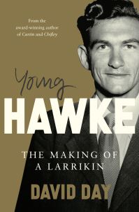 Book Cover for Young Hawke by David Day