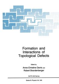 Book Cover for Formation and Interactions of Topological Defects by AnneChristine Davis, Robert Brandenberger
