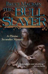 Book Cover for The Bull Slayer by Bruce Macbain