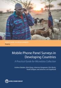 Book Cover for Mobile Phone Panel Surveys in Developing Countries by Andrew Dabalen