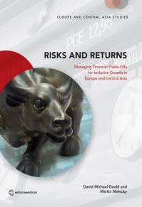 Book Cover for Risks and Returns by David Gould, Martin Melecky