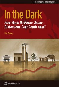 Book Cover for In the Dark by Fan Zhang