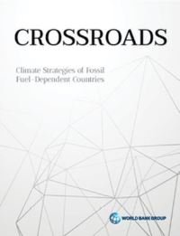 Book Cover for Diversification and Cooperation in a Decarbonizing World by Grzegorz Peszko