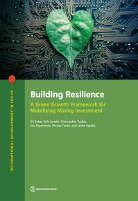 Book Cover for Building Resilience by Sri Sekar, Kyle Lundin, Christopher Tucker, Joe Figueiredo, Silvana Tordo, Javier de J Aguilar Gómez