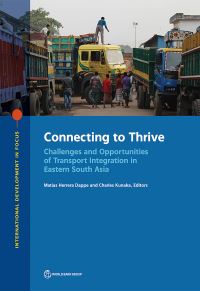 Book Cover for Connecting to Thrive by Matías Herrera Dappe