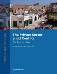 Book Cover for The Private Sector Amid Conflict by Aminur Rahman, Michele Di Maio