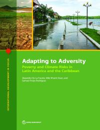 Book Cover for Adapting to Adversity by Alejandro de la Fuente, Miki Khanh Doan, Samuel FreijeRodriguez