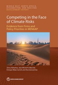 Book Cover for Competing in the Face of Climate Risks by Zeina Alsharkas, Jean Michel Marchat, Enrique AldazCarroll, Ana Goicoechea