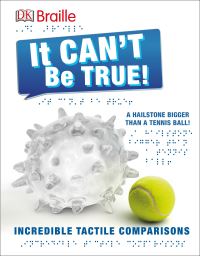 Book Cover for It Can't Be True by Fleur Star