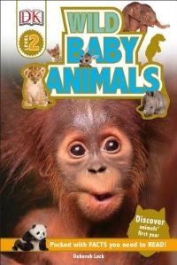 Book Cover for Wild Baby Animals by Karen Wallace