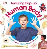 Book Cover for Amazing Pop-Up Human Body by Marie Greenwood