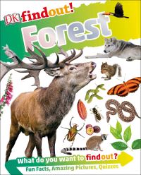 Book Cover for Forest by Cat Hickey