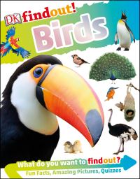 Book Cover for DKfindout! Birds by DK