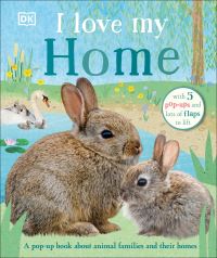 Book Cover for I Love My Home by DK