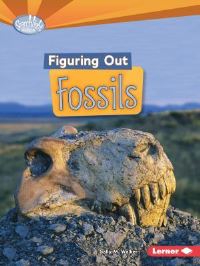 Book Cover for Figuring Out Fossils by Sally M Walker