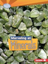 Book Cover for Marveling at Minerals by Sally M Walker