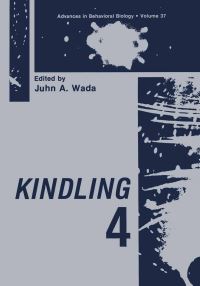 Book Cover for Kindling 4 by Juhn A Wada