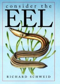 Book Cover for Consider the Eel by Richard Schweid