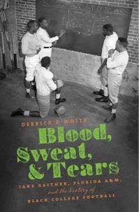 Book Cover for Blood, Sweat, & Tears by Derrick E White