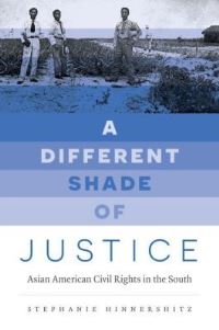 Book Cover for A Different Shade of Justice by Stephanie Hinnershitz