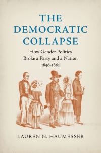Book Cover for The Democratic Collapse by Lauren N Haumesser