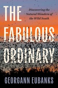 Book Cover for The Fabulous Ordinary by Georgann Eubanks
