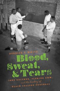Book Cover for Blood, Sweat, and Tears by Derrick E White