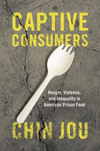 Book Cover for Captive Consumers by Chin Jou
