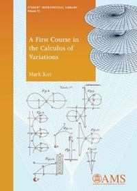 Book Cover for A First Course in the Calculus of Variations by Mark Kot