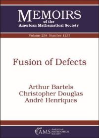 Book Cover for Fusion of Defects by Arthur Bartels, Christopher L Douglas, André G Henriques
