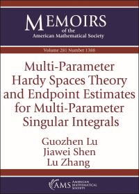 Book Cover for Multi-Parameter Hardy Spaces Theory and Endpoint Estimates for Multi-Parameter Singular Integrals by Guozhen Lu, Jiawei Shen, Lu Zhang