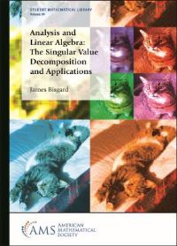 Book Cover for Analysis and Linear Algebra by James Bisgard