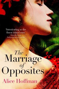 Book Cover for The Marriage of Opposites by Alice Hoffman