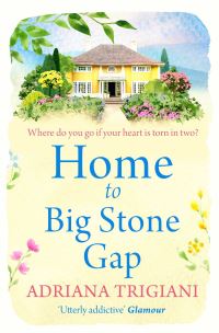 Book Cover for Home to Big Stone Gap by Adriana Trigiani