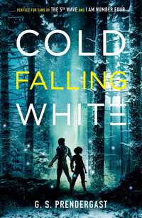 Book Cover for Cold Falling White by Gabrielle Prendergast